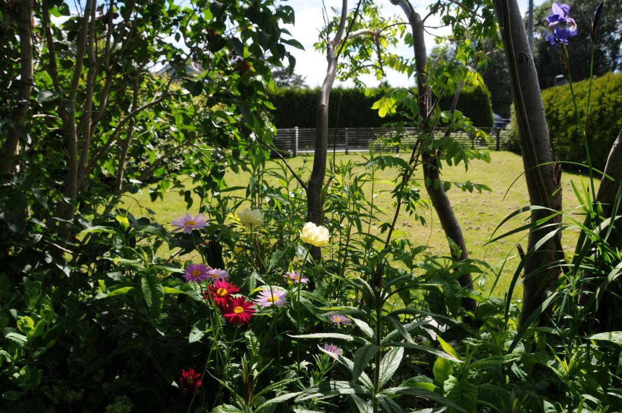 Surfers Guesthouse Åsa 外观 照片